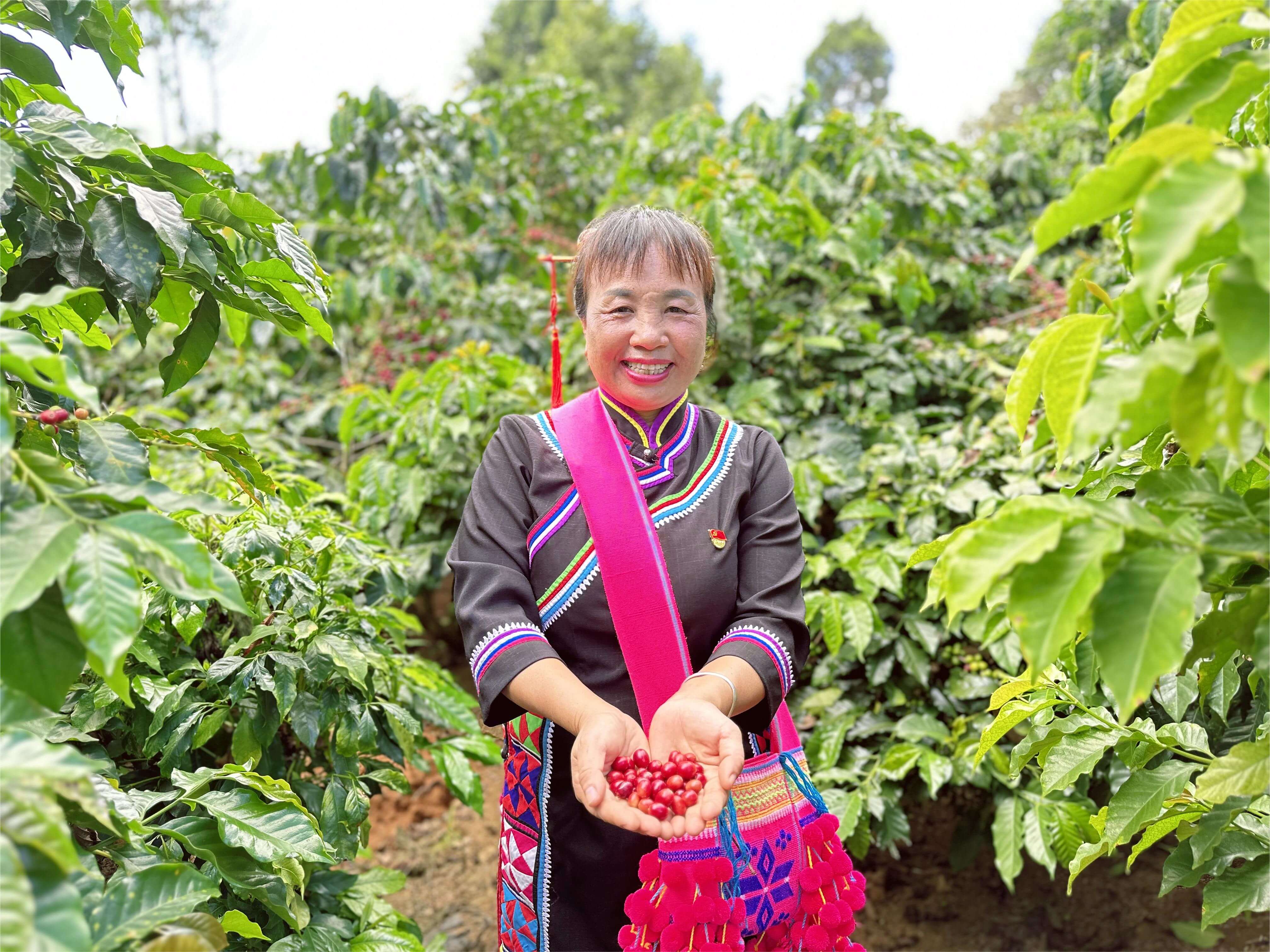 william威廉中文官网